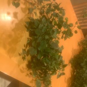 Beautiful silk greenery in clay pot great accent piece